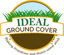 Ideal Ground Cover